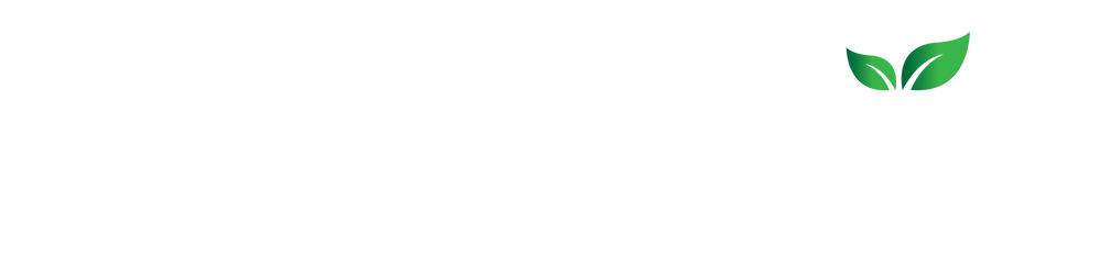 Naturavix logo in white text and with green leaves 